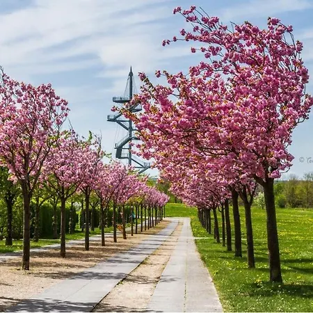 Seestern Für 6 Personen Mit Kamin&terrasse