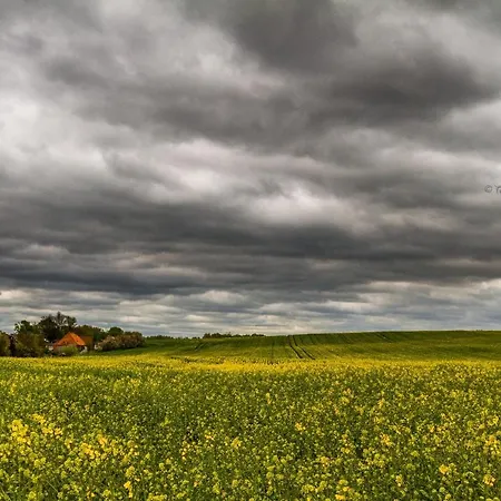 Seestern Für 6 Personen Mit Kamin&terrasse Apartment Boltenhagen