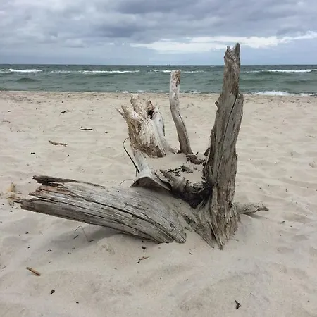Apartment Seestern Für 6 Personen Mit Kamin&terrasse