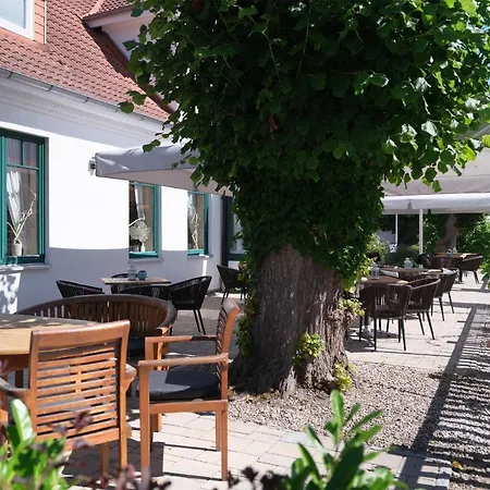 Seestern Fuer 6 Personen Mit Kamin & Terrasse