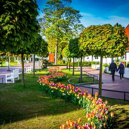 Seestern Für 6 Personen Mit Kamin&terrasse Boltenhagen