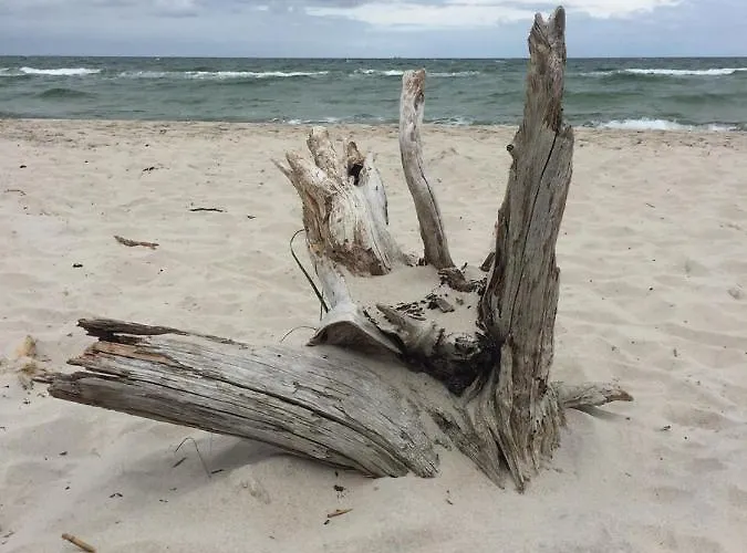 Apartament Seestern Fuer 6 Personen Mit Kamin & Terrasse